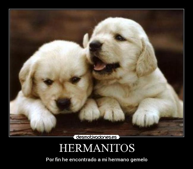 carteles dannyesku99 desmotivaciones