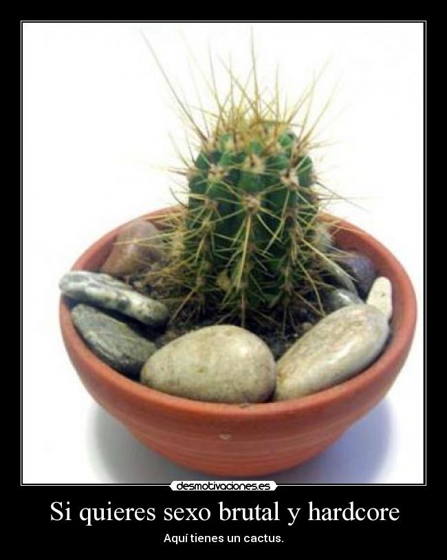 Si quieres sexo brutal y hardcore -