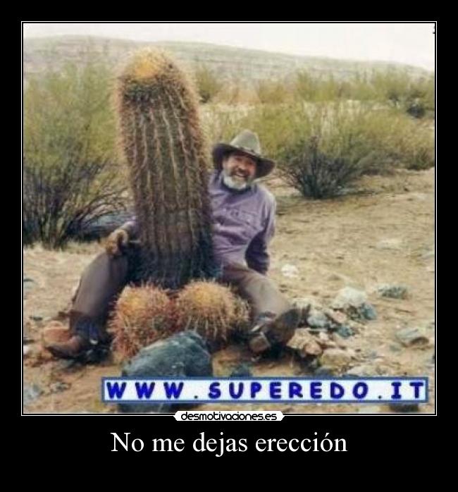 No me dejas erección -