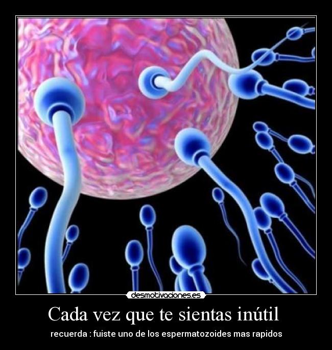 Cada vez que te sientas inútil  - 