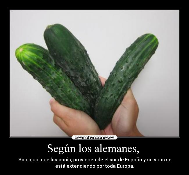 Según los alemanes, -