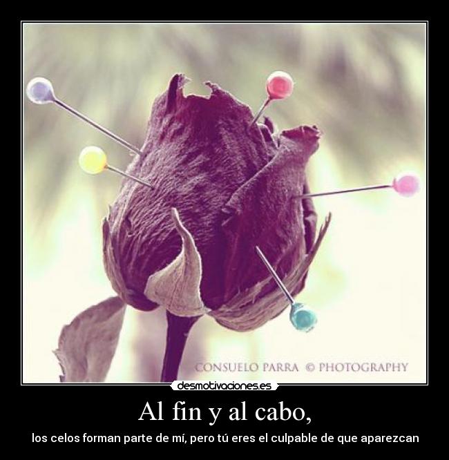 Al fin y al cabo, - los celos forman parte de mí, pero tú eres el culpable de que aparezcan