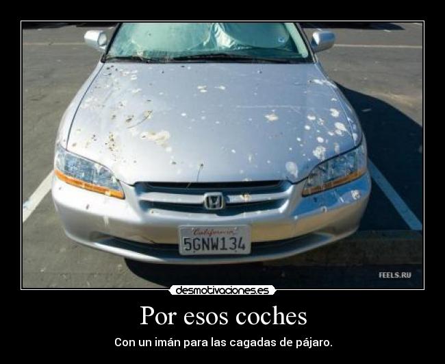 Por esos coches - Con un imán para las cagadas de pájaro.