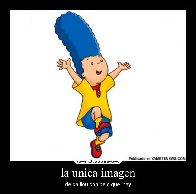 la unica imagen - 