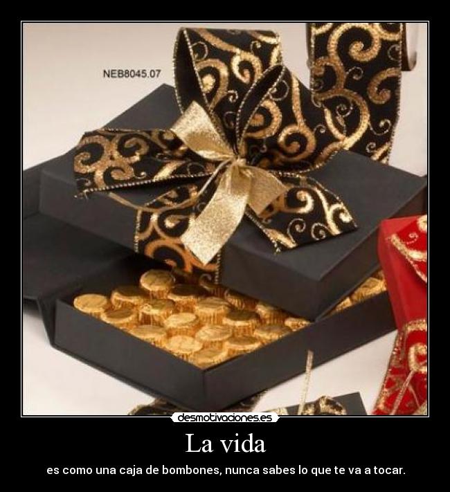 La vida - es como una caja de bombones, nunca sabes lo que te va a tocar.