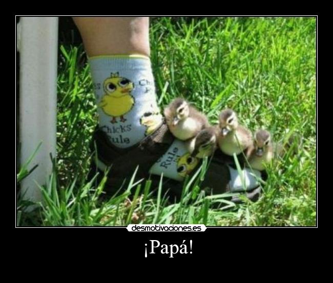 ¡Papá! -