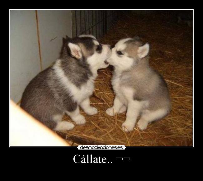 carteles callate callar callado desmotivaciones