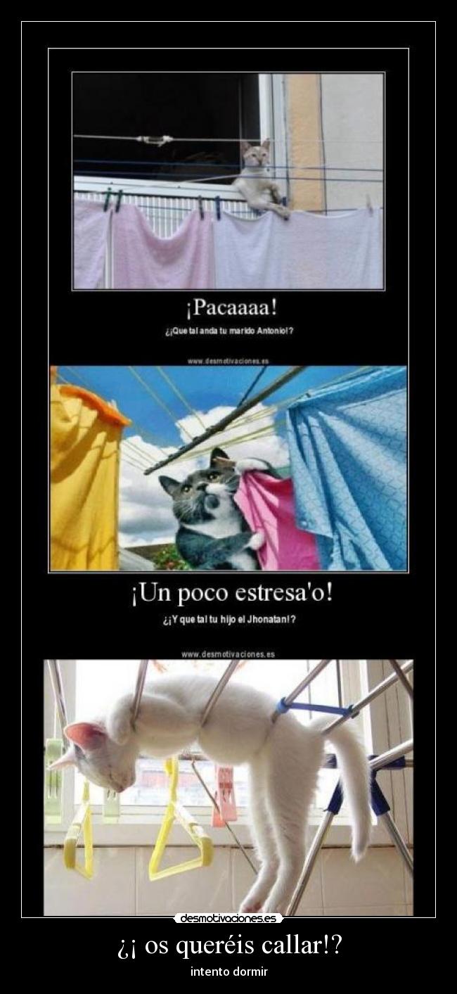 ¿¡ os queréis callar!? - 
