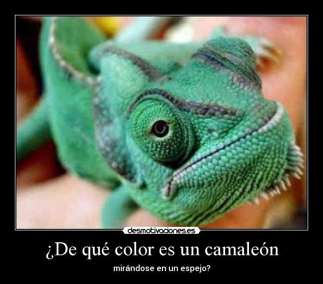 carteles antoniogachero desmotivaciones