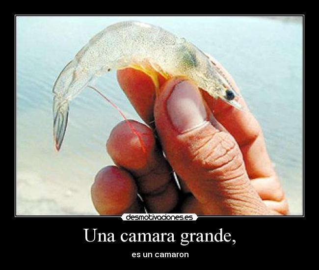 Una camara grande, - 