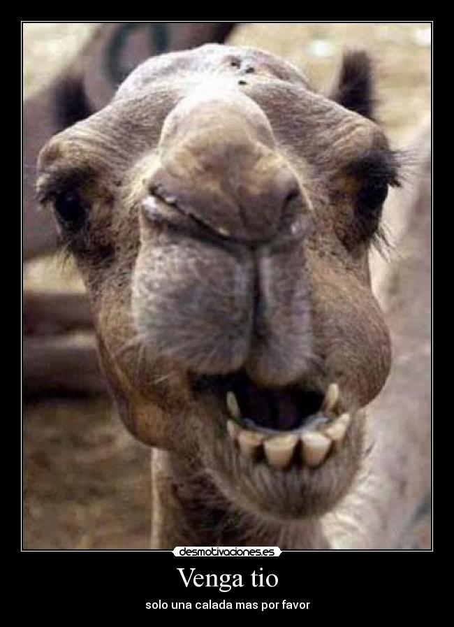Venga tio - solo una calada mas por favor