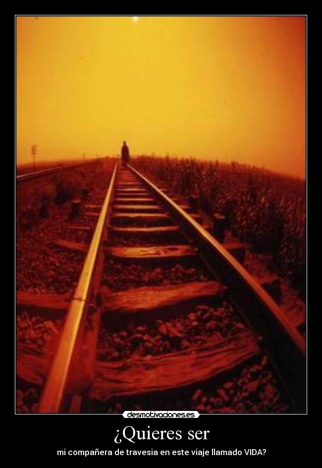 carteles lazermatemacom desmotivaciones