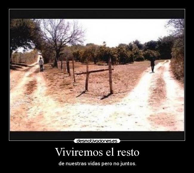 Viviremos el resto -