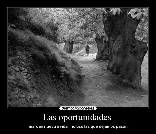 Las oportunidades - marcan nuestra vida. Incluso las que dejamos pasar.
