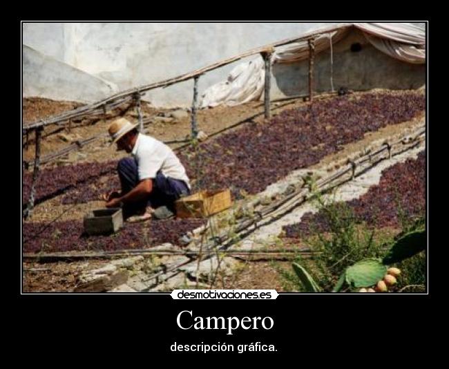 Campero -
