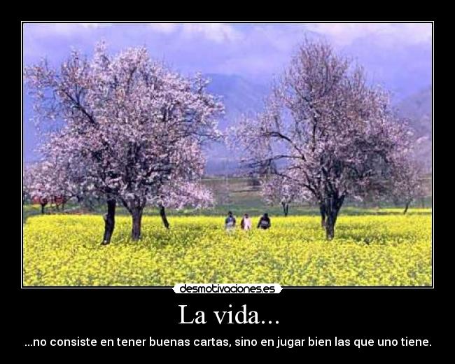 carteles vida vida desmotivaciones