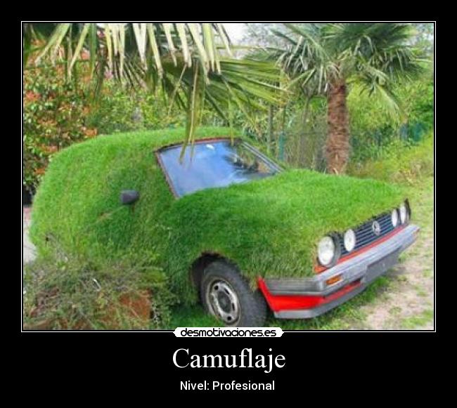 Camuflaje - Nivel: Profesional