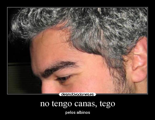 no tengo canas, tego -