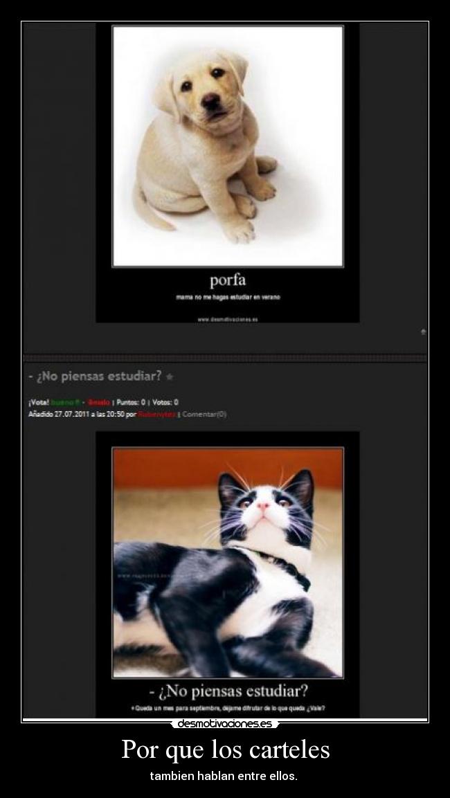Por que los carteles - 
