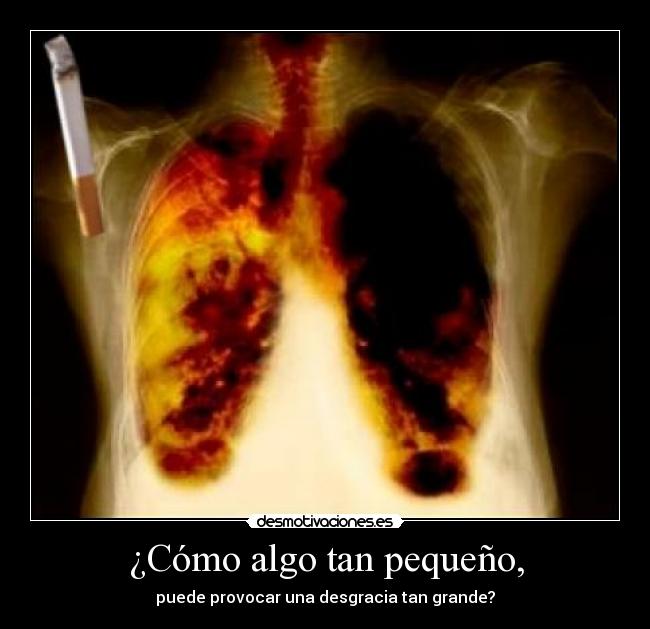 ¿Cómo algo tan pequeño, - 