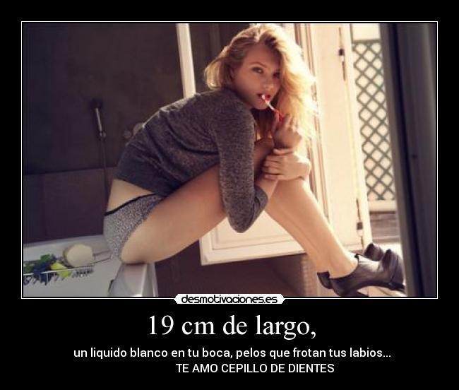 19 cm de largo, -