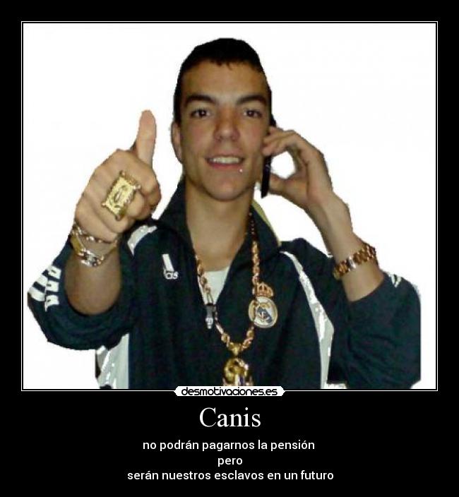 Canis - 