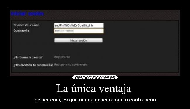 La única ventaja  - de ser cani, es que nunca descifrarian tu contraseña