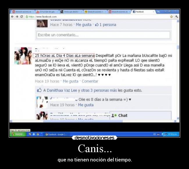 Canis... - que no tienen noción del tiempo.