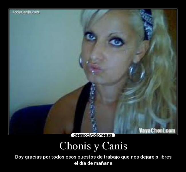 carteles chonis canis trabajo manana desmotivaciones