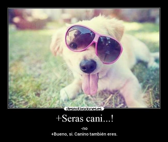 +Seras cani...! -