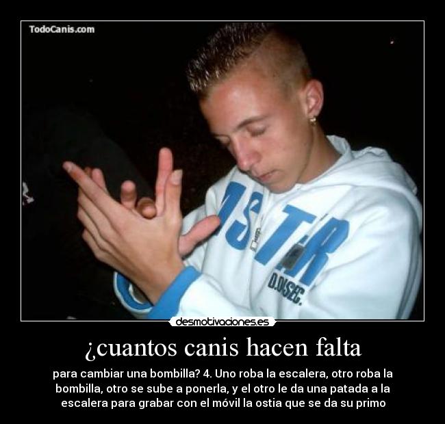 ¿cuantos canis hacen falta - 