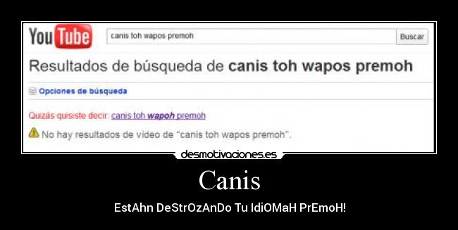 Canis - 
