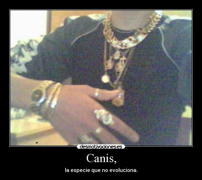 Canis, - la especie que no evoluciona.