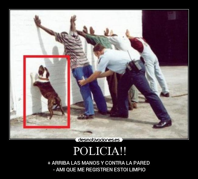 POLICIA!! - 