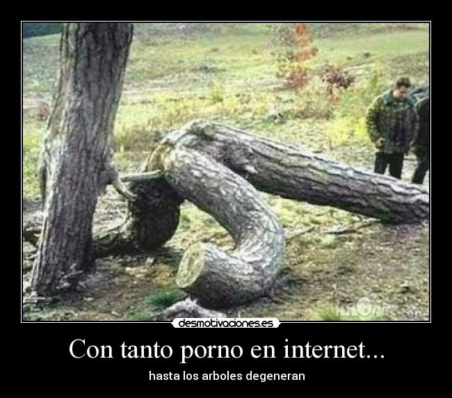 Con tanto porno en internet... - 