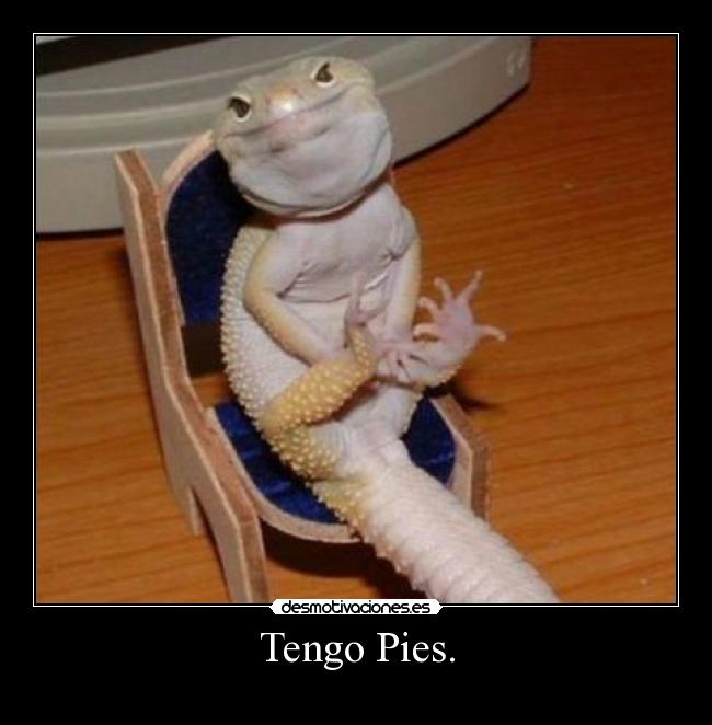 Tengo Pies. - 