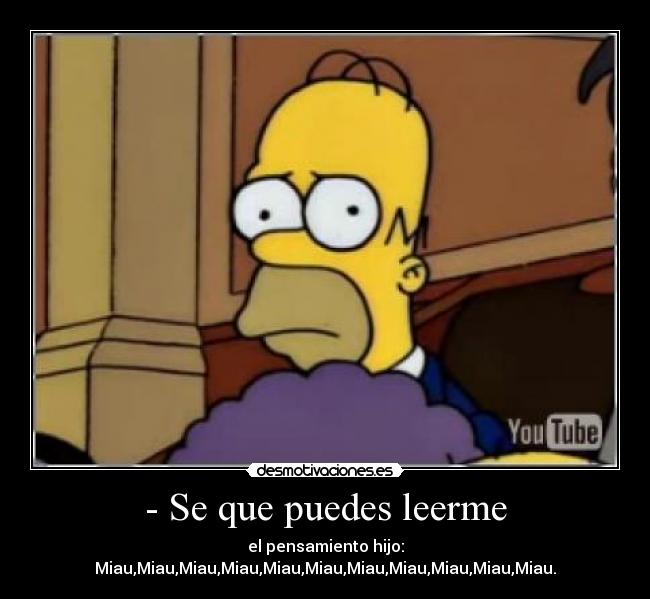 - Se que puedes leerme - el pensamiento hijo: Miau,Miau,Miau,Miau,Miau,Miau,Miau,Miau,Miau,Miau,Miau.