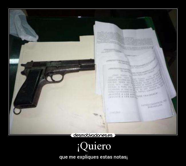 ¡Quiero - que me expliques estas notas¡