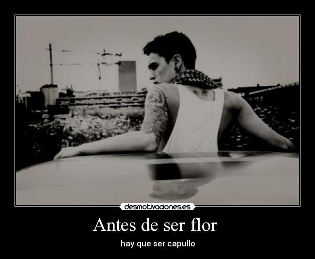 Antes de ser flor  - 