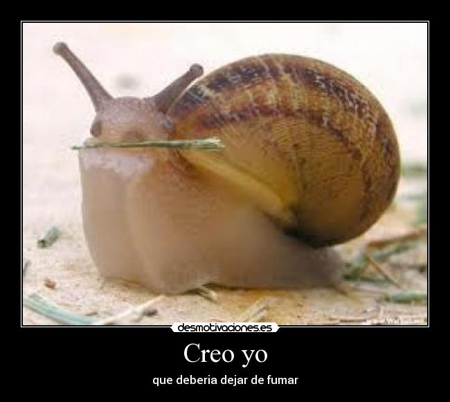 Creo yo - 