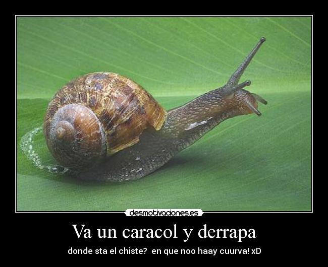 Va un caracol y derrapa -