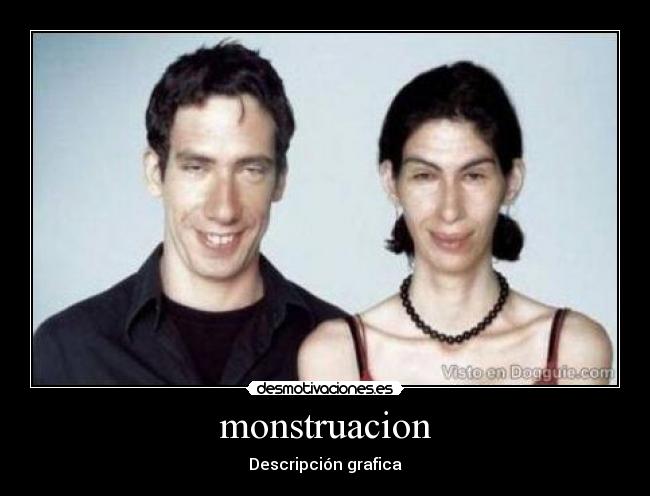 monstruacion - Descripción grafica