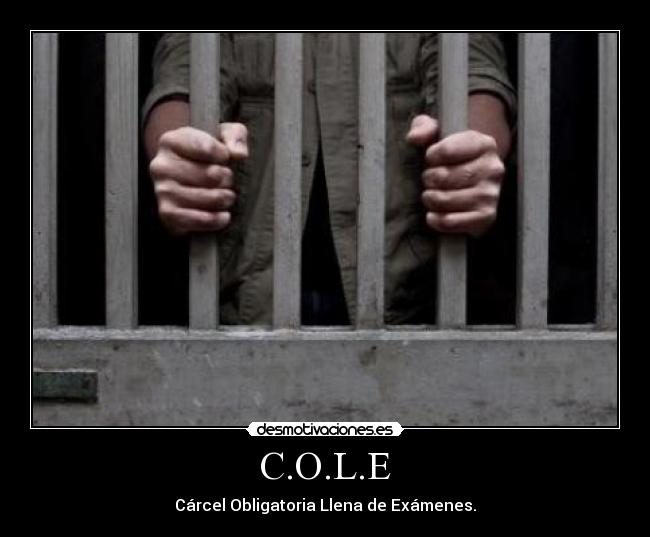 C.O.L.E - 