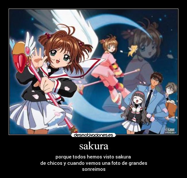 sakura - 