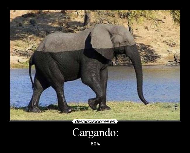 Cargando: - 