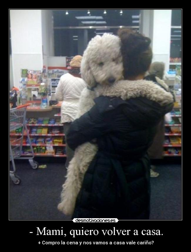 carteles casa mami quiero volver casa compro cena nos vamos casa vale desmotivaciones