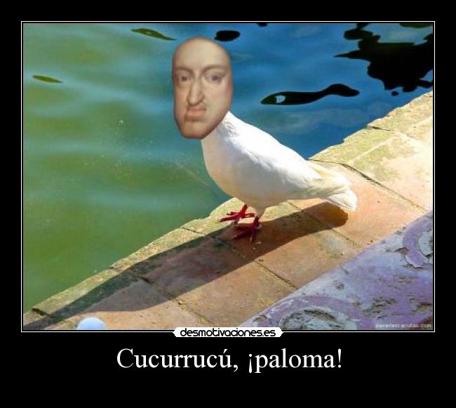 Cucurrucú, ¡paloma! - 