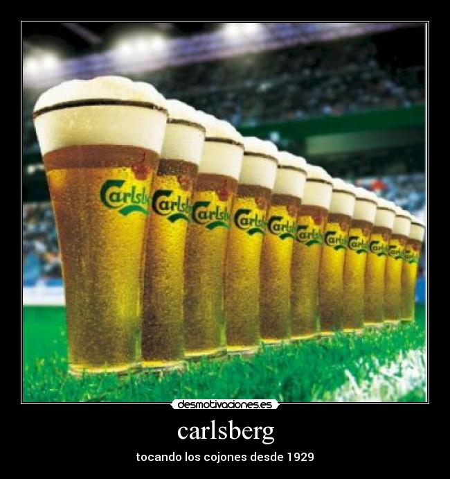 carlsberg - 