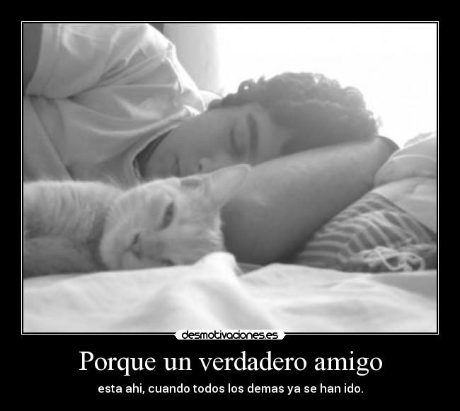 Porque un verdadero amigo - esta ahi, cuando todos los demas ya se han ido.