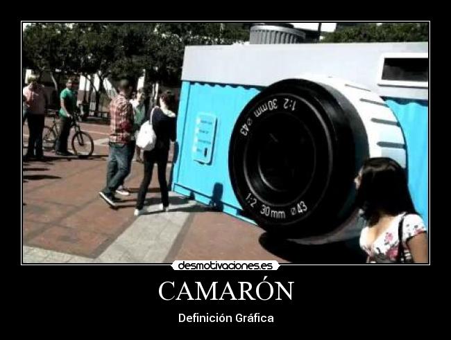 CAMARÓN - Definición Gráfica
